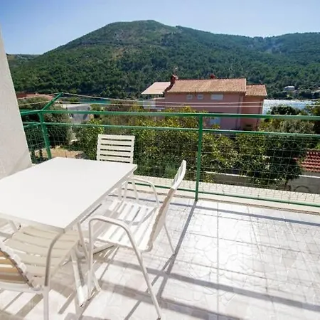Apartment Branko